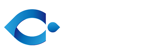 飞利猫随身WiFi